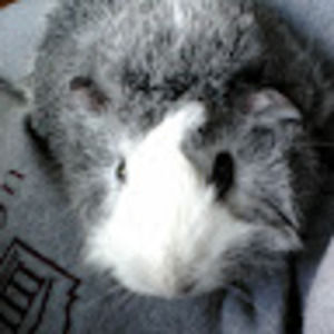 Meet your Posher, Elise